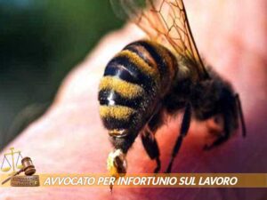 avvocati esperti per risarcimento danni da infortunio sul lavoro a Ivrea Torino